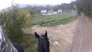 Rockin' Rider Spring Horse Video
