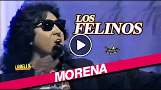 1991 - Los Felinos -  Morena - El Show de Johnny Canales