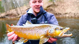 TROUT CAMP | Wild Brown Trout and Steelhead Fishing in Michigan