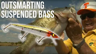 Outsmarting Suspended Bass