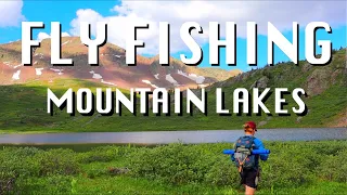 HIGH ALPINE TROUT FISHING | HOW TO FLY FISH | TROUT IN MOUNTAIN LAKES | SOLO COLORADO BACKCOUNTRY