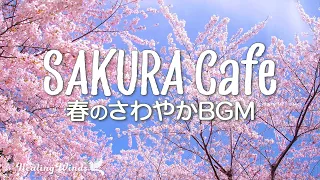【朝カフェ☕️】桜カフェ🌸春のさわやかBGM🎵 Cherry Blossom SAKURA Cafe🌸 Instrumental Music Playlist for Spring Morning