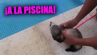 FUIMOS A LA PISCINA CON LYNA Y NUESTRA BEBÉ **¿SE METIO?