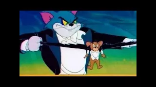Tom And Jerry English Episodes - The Hollywood Bowl - Cartoons For Kids
