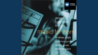 Horn Trio for Horn, Violin and Piano in E flat major, Op. 40: Fourth movement: Finale (Allegro...