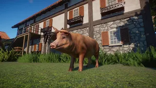 Planet Zoo (PC)(English) #170 7 Minutes of Tamworth pig (Barnyard Animal Pack DLC)