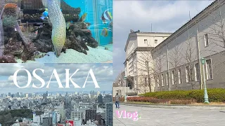 OSAKA vlog: Strolling around Namba, Tennoji Park, MUJI, Tower Records, and Harukas 300 | nalia féeds