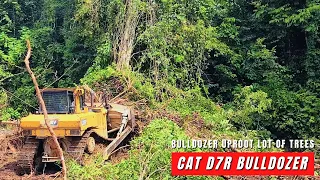 The Best Skill of Dozer Operator Uproot a Lot of Huge Trees Easily Using CAT D7R Bulldozer