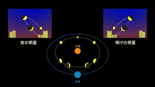 金星の見え方