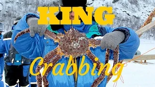 King Crabbing in Norway