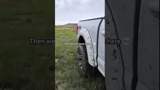 I lost BamBam (Albino Bison) 🦬 #bison #montana #yellowstone #pets #farm #ranch