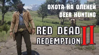 Red Dead Redemption 2, PS4 PRO, walkthrough part 3, RDR2 прохождение, часть 3 #rdr2 #western