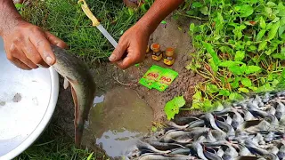 Really amazing fishing by Eno and nimbu se mangur machli pakarne ka upai new video