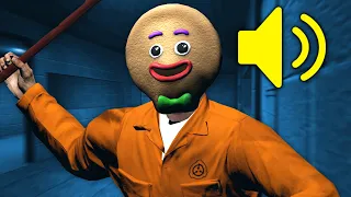 Banned From Garry's Mod SCP