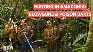 Amazonian hunting demonstration: blowgun and poison darts | BRAZIL