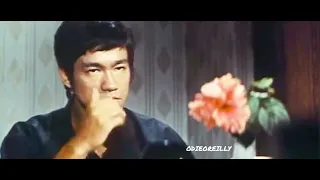 Bruce Lee Light Of Day 2022