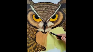beautiful Owl 🦉 colour pencils drawing 😍😍#shorts #shotsvideo #shotsvideoviral #trending