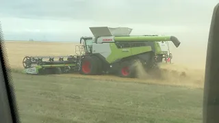 2020 Claas demo combine  8600 model