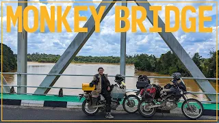 Our visa is expiring in Borneo: 🇮🇩 RTW Ep23