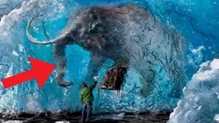 7 Amazing Frozen Animal Discoveries