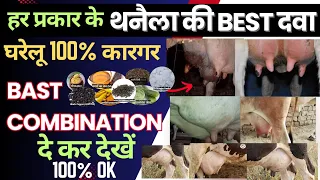 गाय भैंस को थनैला रोग का घरेलू उपचार👌🏽100% देसी इलाज 👉🏻 Mastitis treatment at home