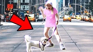 I Let My Dog Walk Me For A Day! *We Got Lost*