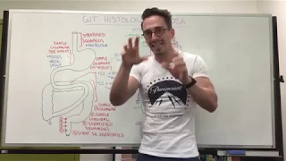 Mucosa | Gastrointestinal Tract Histology