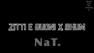 Zitti E Buoni x Shum audio edit