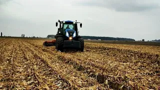 talerzowanie po kukurydzy w GR Nowicki.|| Newholland,akpil.