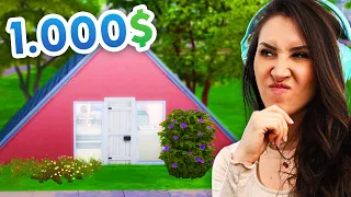 Ich versuche ein komplettes Sims Haus für nur 1000$ zu bauen!