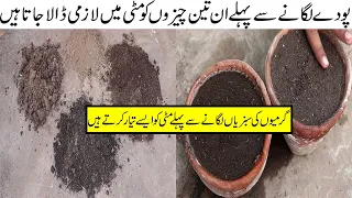 Gamlon ki Matti ko kaise Tyar kia Jata hai | How To Prepare Best And Healthy Soil For All Plants