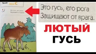 Ш.К.О.Л.А - Шизанутая Колония Одиннадцати Лет Ада. ЛЮТЫЕ ПРИКОЛЫ