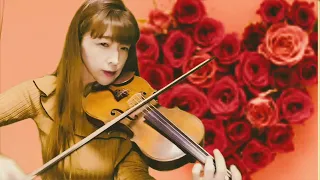 Michelle　The Beatles /violin cover  ミッシェル