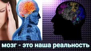 ВОЗМОЖНОСТИ МОЗГА. ЧТО БУДЕТ С ЧЕЛОВЕКОМ ЕСЛИ УДАЛИТЬ ЛОБНУЮ ДОЛЮ?