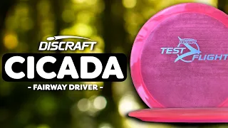 Fairway Driver of the YEAR?!?!? Discraft Cicada Disc Review