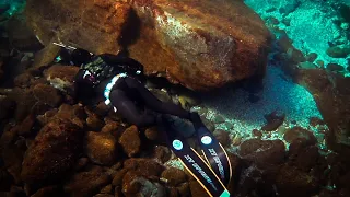 Spearfishing 6hours🕕 Searching for Dentex | Spearfishing the Aegean 🇬🇷 ✔