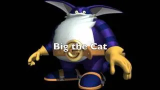 Top 5 Most Annoying Sonic Characters