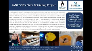 Conservation Conversations: SANCCOB's Chick Rearing Project - Melissa Cadman (13Sep22)