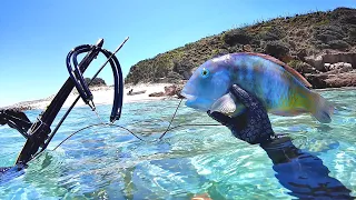 Tasty Tusk Fish - Solo Camping A New Uninhabited Island - Day 2