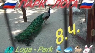 [ 8.ч.] 🐦 ПАРК - ЛОГА / Loga - Park / 2021.г. РОССИЯ 🇷🇺