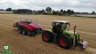 Claas Xerion 3800 & Massey Ferguson 2370UHD Baler. Straw 2021