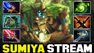 Forgotten Silly Build Treant Protector | Sumiya Invoker Stream Moment 3784