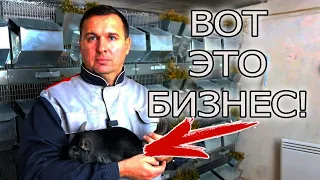 НЕ ЗАВОДИТЕ КРОЛИКОВ, ПОПРОБУЙТЕ ИХ! В ГОСТЯХ У ВЛАДИМИРА!