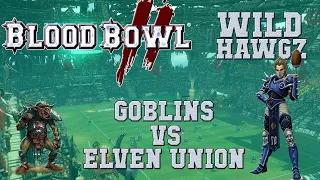 Blood Bowl 2 - Goblins (the Sage) vs Elven Union (RandallClark) - Wild Hawgz G8