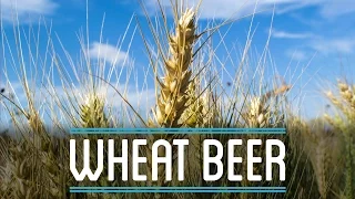 Wheat Beer from Scratch | How to Brew Everything