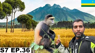 Finally Saw the Amazing Golden Monkeys in Rwanda 🇷🇼 S7 EP.36 | Pakistan to South Africa