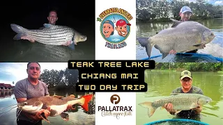 The Overrated Anglers - Fishing in Thailand - Teak Tree Chiang Mai two day trip carp and predators.