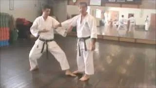 VOCÊ SABE MESMO EXECUTAR O HEIAN SHODAN? | Helio Arakaki Sensei