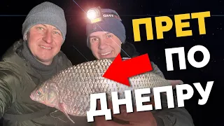 🛑 Она ИДЕТ❗️ Клюют БАТОНЫ 🥖 Киевская рыбалка 💥 Фидерная ловля 2024❗️Глина или ЗЕМЛЯ❓