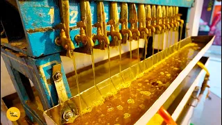 2000 Kg Daily Making Pure Yellow Mustard Oil Mega Factory Rs. 245/- Per ltr  l Delhi Street Food